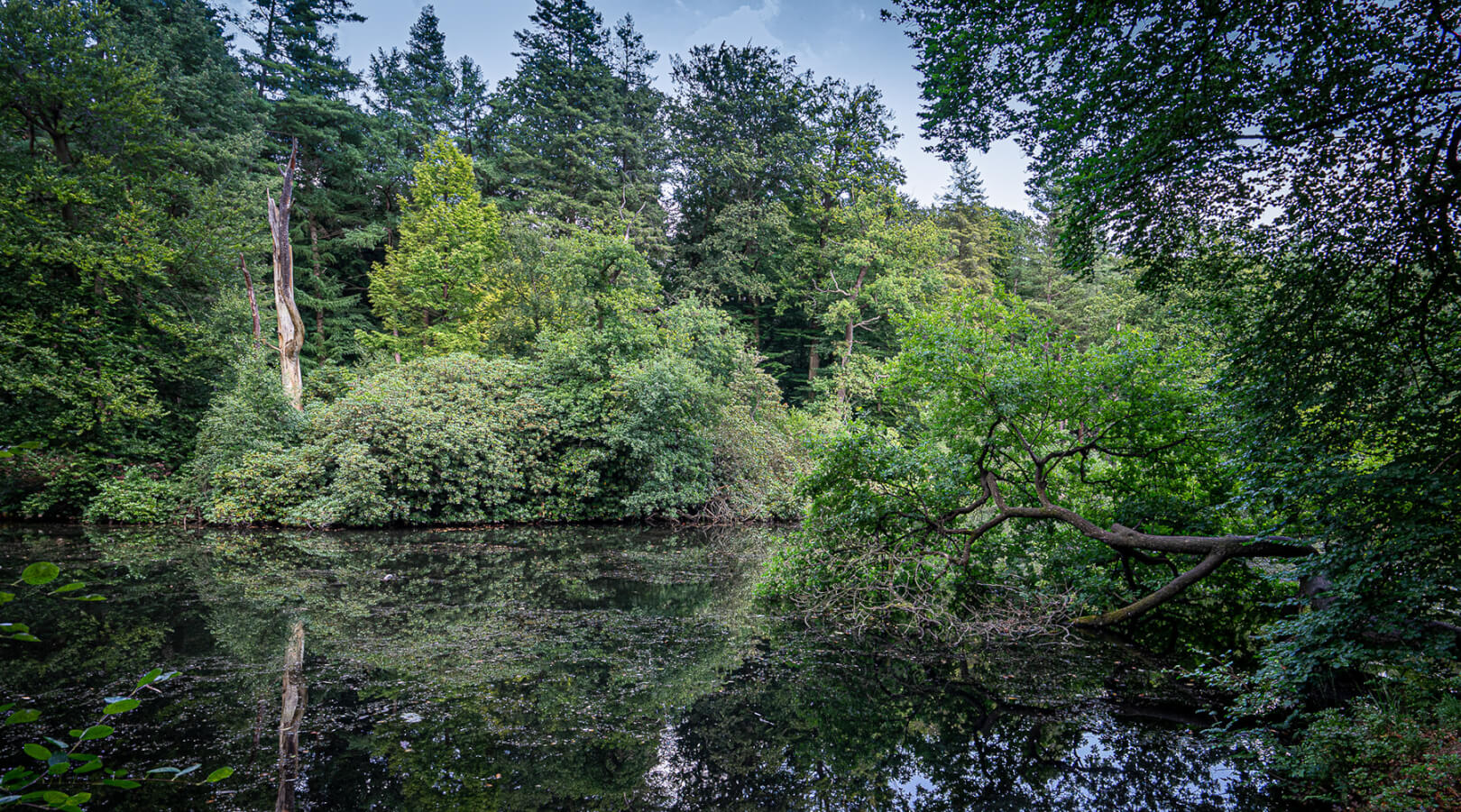 Please u self Dutch Landscape