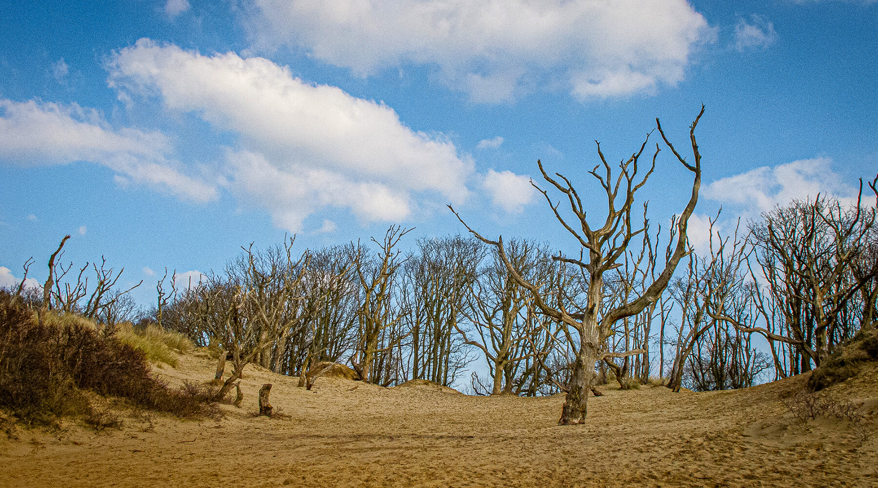 Please u self Dutch Landscape