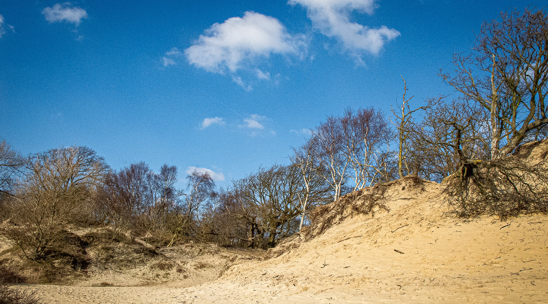 Please u self Dutch Landscape