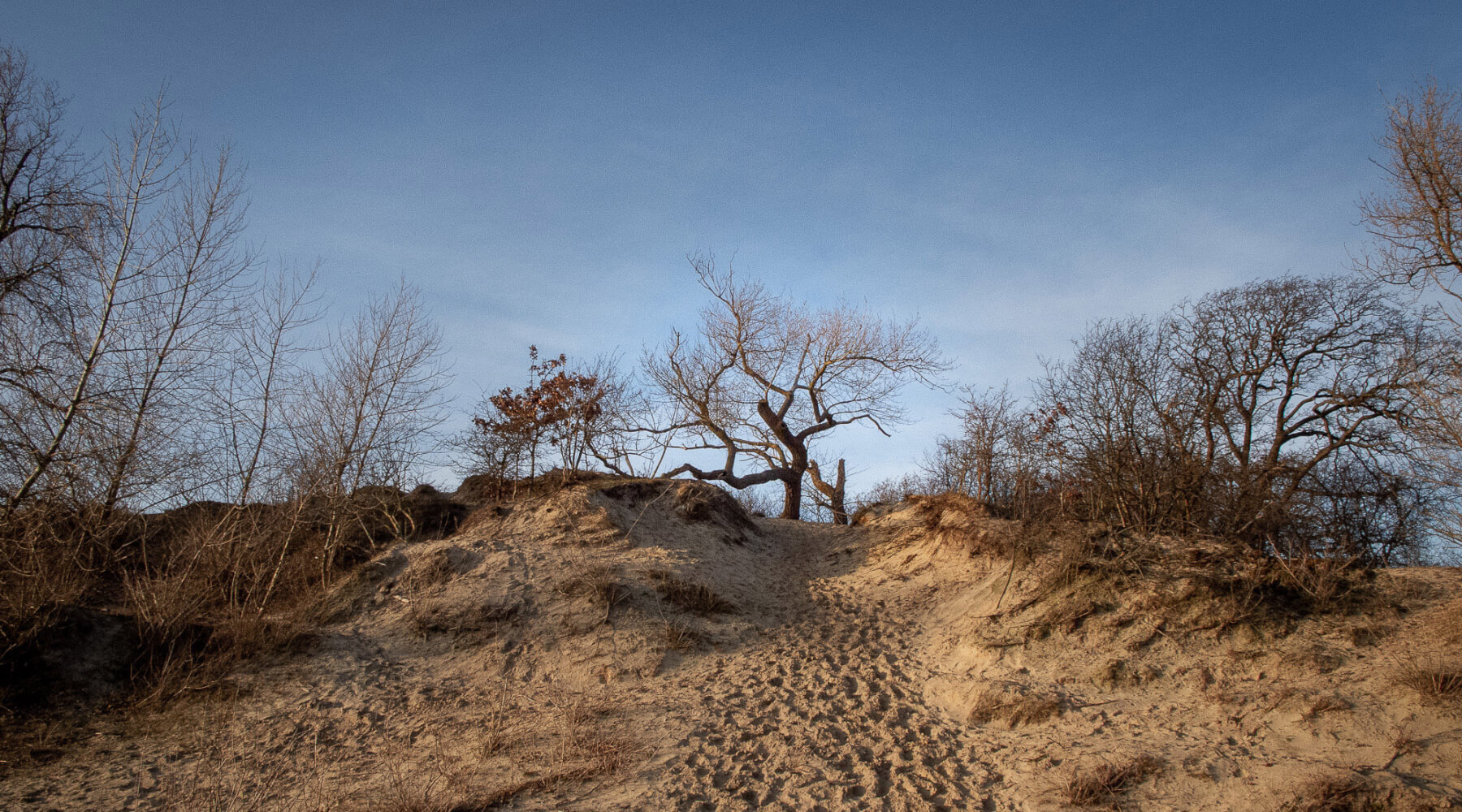 Please u self Dutch Landscape