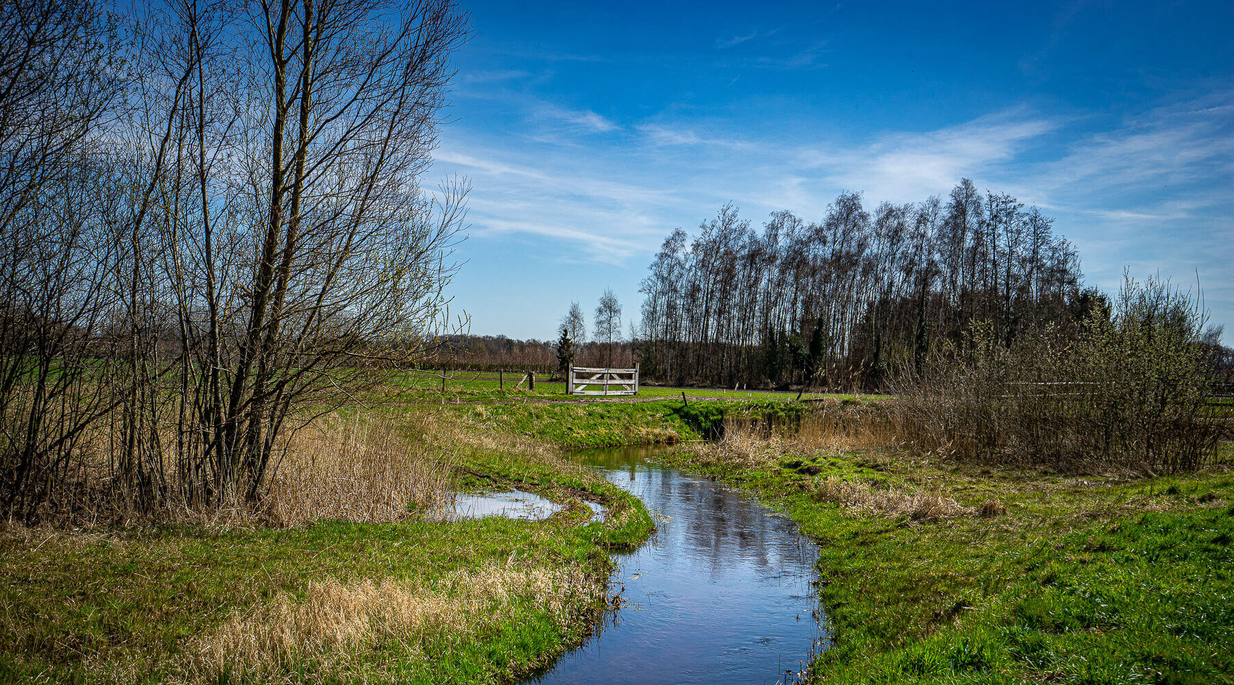 Please u self Dutch Landscape